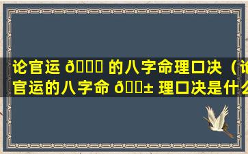 论官运 🐝 的八字命理口决（论官运的八字命 🐱 理口决是什么）